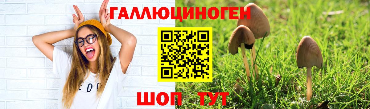 Псилоцибиновые грибы GOLDEN TEACHER  Вход с VPN  Вышний Волочёк 